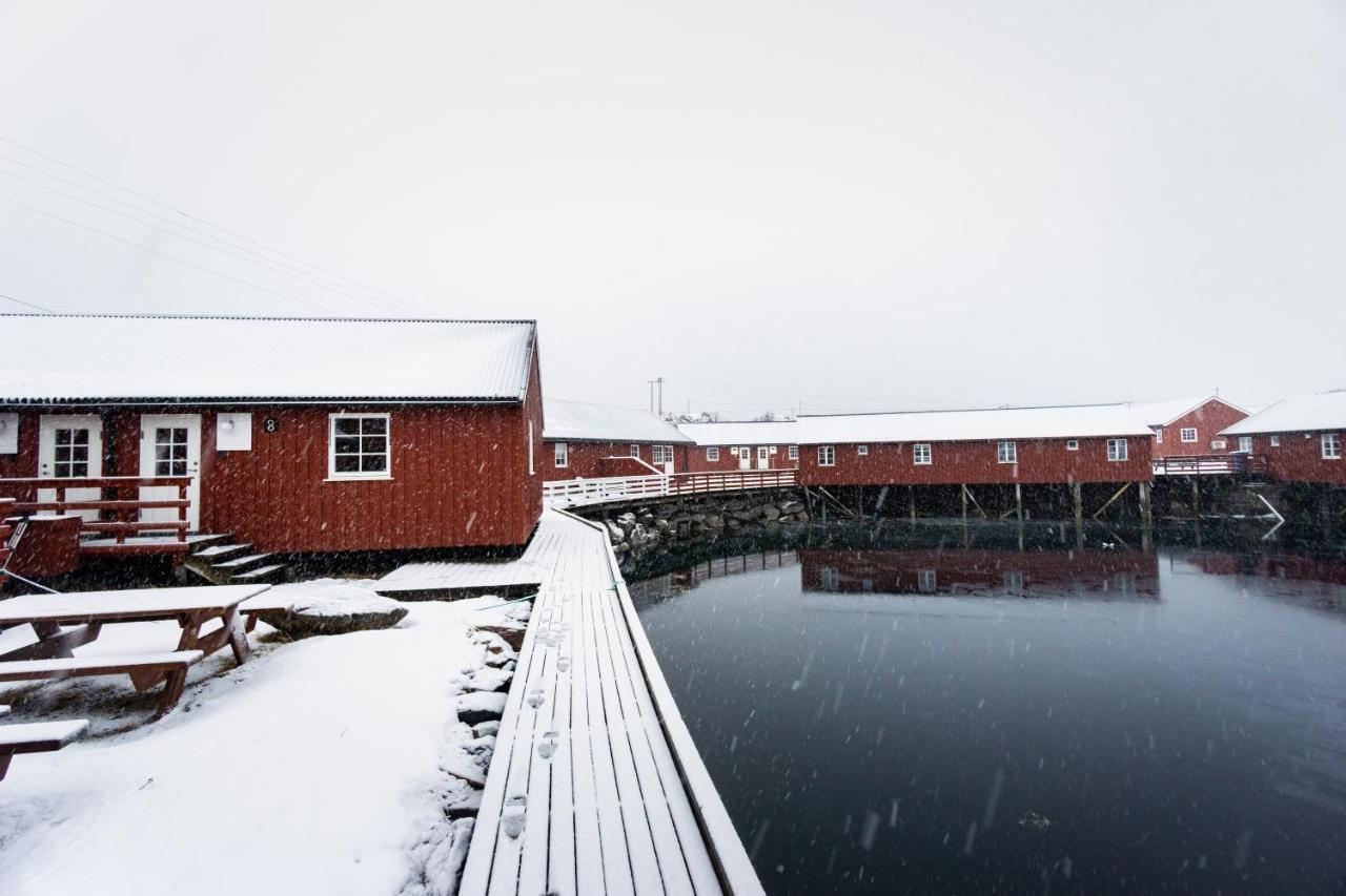 Lofoten Cabin And Kayak Rental Stamsund Zewnętrze zdjęcie