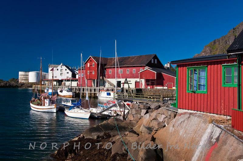 Lofoten Cabin And Kayak Rental Stamsund Zewnętrze zdjęcie